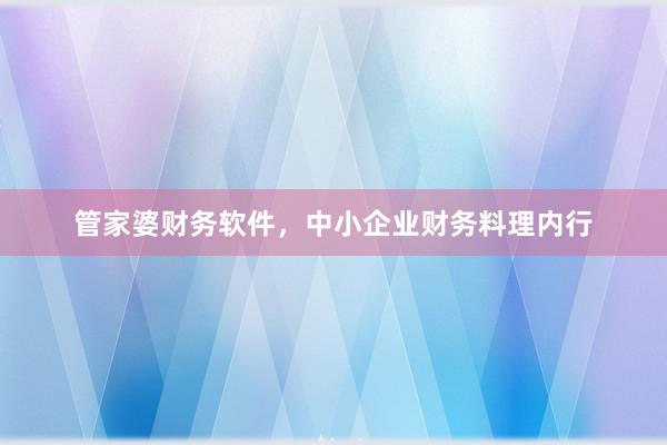 管家婆财务软件，中小企业财务料理内行