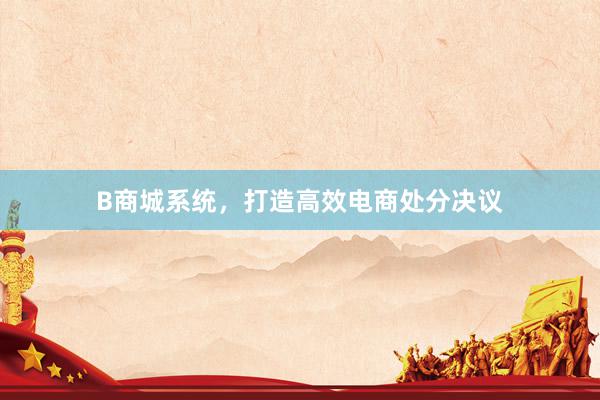 B商城系统，打造高效电商处分决议